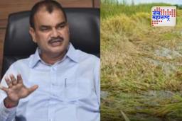 Dattatray Bharne: नुकसानग्रस्त शेतकऱ्यांची कर्जवसुली…, कृषीमंत्री भरणेंचे आदेश