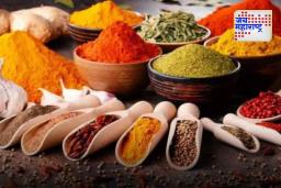Health Tips: ‘या’ पाच मसाल्याच्या पदार्थांचा तुमच्या आहारात समावेश करा; कर्करोगाचा धोका होईल कमी