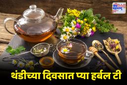 Winter Health Tips: या हिवाळ्यात ट्राय करा ‘या’ 5 प्रकारच्या हर्बल टी; शरीर राहील गरम आणि इम्युनिटी होईल डबल स्ट्राँग
