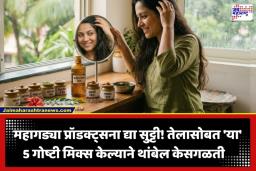 Monsoon Hair Care: पावसाळ्यात केस गळतीने त्रस्त आहात? कढीपत्त्याच्या तेलात मिसळा ‘हे’ 5 घरगुती घटक; केस होतील मजबूत अन् चमकदार