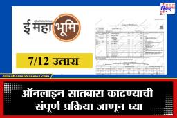How to Download Digital Satbara: सातबारा काढण्यासाठी आता रांगेत उभं राहायची गरज नाही; घरबसल्या फक्त 15 रुपयांत काढा डिजिटल सातबारा