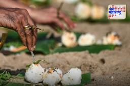 Pitru Paksha 2025: पितृदोष टाळण्यासाठी कोणते उपाय करावेत, जाणून घ्या…