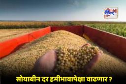Soyabean Rate Increase: शेतकऱ्यांसाठी आनंदवार्ता! सोयाबीनला बाजारात मोठी दरवाढ