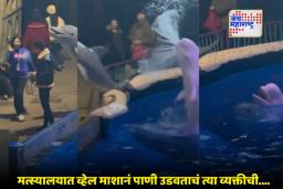 Viral Video : माणसानं नाही तर व्हेल माशानं ठेवलं भान; निषिद्ध परिसरात धूम्रपान करणाऱ्यावर उडवलं पाणी