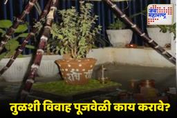 Tulsi Vivah 2025: तुळशी विवाह पूजेदरम्यान ‘या’ गोष्टीचा नक्की वापर करा