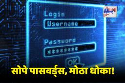 Most Common Passwords: 2025 मध्ये सर्वाधिक वापरले गेलेले पासवर्ड उघड;  या पासवर्डने मारली पुन्हा बाजी, तज्ज्ञांचा सावधानतेचा इशारा