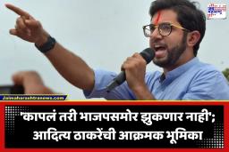 Aditya Thackeray: युवासेना थेट दिल्लीत धडकणार; सोनम वांगचुक यांच्या अटकेनंतर आदित्य ठाकरेंनी फुंकलं रणशिंग