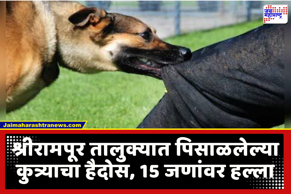 Stray Dog News : 70 वर्षीय महिलेच्या चेहऱ्यावर जखमा, लहानांपासून मोठ्यापर्यंत 15 ते 17 जणांचे तोडले लचके; पिसाळलेल्या कुत्र्यामुळे परिसरात खळबळ