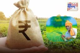 Kisan Credit Card Scheme: शेतकऱ्यांसाठी 4 टक्के व्याजदरावर 5 लाख रुपयांचे कर्ज! अर्ज कसा करावा? जाणून घ्या