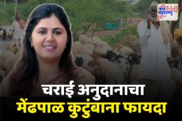 चराई अनुदानापोटी 7.33 कोटी मेंढपाळांच्या बँक खात्यात जमा; पशुसंवर्धन मंत्री पंकजा मुंडेंनी दिली माहिती