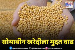 महाराष्ट्रात सोयाबीन खरेदीला मुदत वाढ; 24 दिवसांची मदतवाढ देण्याचा केंद्राचा निर्णय
