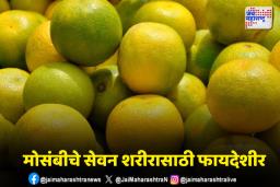 शरीराला हायड्रेट ठेवण्यासाठी ‘या’ फळाचे सेवन नक्की करा