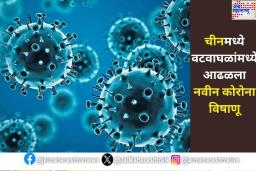 चीनमध्ये वटवाघळांमध्ये आढळला नवीन कोरोना विषाणू; किती धोकादायक आहे HKU5-CoV-2? जाणून घ्या