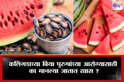 Watermelon Seeds Benefits: कलिंगड खाताना बिया काढून टाकता? थांबा! पुरुषांच्या आरोग्यासाठी आहेत जबरदस्त फायदे