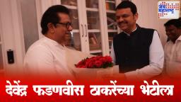 Fadnavis meets Raj Thackeray : राज ठाकरेंची भेट का घेतली? मुख्यमंत्री देवेंद्र फडणवीसांनी सांगितलं कारण