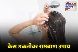Hair Tips: केस गळती आणि कोंडा दूर करण्यासाठी ‘या’ गोष्टी नक्की लावा