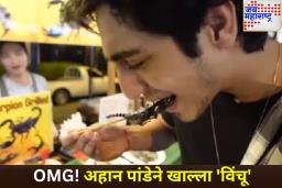 Ahaan Panday Video: अहान पांडेने खाल्ला ‘विंचू’! नेटीझन्स म्हणाले, ‘यापुढे तुझा एकही चित्रपट पाहणार नाही’