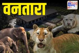 Vantara Jamnagar: जनतेसाठी कधी खुले होणार? वन्यजीव केंद्र शुल्क, वेबसाइट, क्षेत्रफळ आणि प्रकल्प खर्च