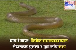 SL vs BAN: खेळाडूंची उडाली धांदल! क्रिकेट सामन्यादरम्यान मैदानावर घुसला 7 फूट लांब साप, पहा व्हिडिओ