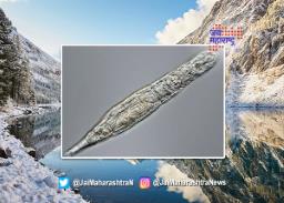 24 हजार वर्षापुर्वीचा जीव पुन्हा झाला जिवंत ; जगभरातील शास्त्रज्ञही चकीत
