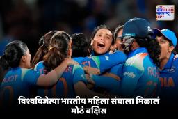 World Cup Prize Money : विश्वविजेत्या टीम इंडियाने मोठी बक्षीस रक्कम जिंकून रचला इतिहास, किती मिळाले पैसे?