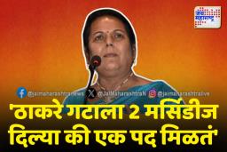 शिवसेनेच्या नेत्या नीलम गोऱ्हेंच्या वक्तव्याने खळबळ