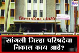 Sangli Zilla Parishad Election Results 2026: सांगली जिल्हा परिषदेत भाजप नंबर वन,शरद पवार गटाने काँग्रेसला टाकलं मागे
