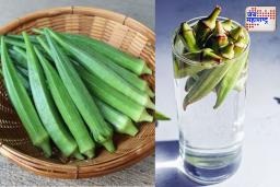 Health Tips: औषधं फेल, पण ‘भेंडीचं पाणी’ पास; डायबिटीज कंट्रोलसाठी आजमावाच