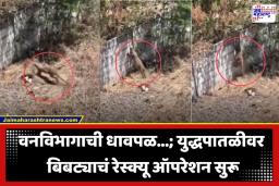 Nashik Leopard Found : तो पुन्हा आला! रहिवासी भागात बिबट्याची घुसखोरी; भिंतीवरून उडी मारतानाचा व्हिडिओ व्हायरल