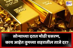 Gold Rate Today: महिन्याच्या पहिल्याच दिवशी सोन्याच्या दरात मोठी घसरण; आंतरराष्ट्रीय घडामोडी अन् सीमा शुल्काचा किमतीवर थेट परिणाम