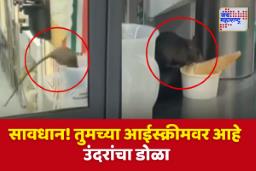 Navi Mumbai : उंदराने खाल्लेले आईसक्रीम ग्राहकांना; सीवूड्स मॉलमध्ये अजब प्रकार