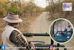 The World Wildlife Day : मोदींची वन्यजीव दिवसानिमित्त गिरची सफारी