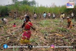 साखर कारखानदारांनी पहिली उचल चार हजारांवर द्यावी