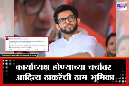 Aaditya Thackeray: ‘मला पक्षात पद…’; कार्याध्यक्ष होण्याच्या चर्चांवर आदित्य ठाकरेंची थेट प्रतिक्रिया, राजकारणात खळबळ