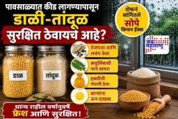 Kitchen Hacks: पावसाळ्यात डाळ-तांदूळ होतात खराब? फक्त 5 घरगुती उपाय करा, महिनोनमहिने कीडही फिरकणार नाही
