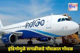 Indigo Flight Cancellation : एकीकडे सिंगापूरमध्ये प्रपोज करण्याचा 7 लाखांचा प्लान फसला; तर, दुसरीकडे उच्चायुक्तही अडकले