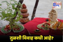 Tulsi Vivah: 2 की 3 नोव्हेंबरला तुळशी विवाह आहे?, जाणून घ्या तारीख, शुभ वेळ आणि पूजेची पद्धत
