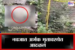 Amravati Crime : धक्कादायक! बडनेरा येथे नवजात अर्भक आढळलं मृतावस्थेत, तपास सुरू