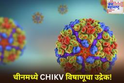 कोरोनानंतर चीनमध्ये CHIKV विषाणूचा उद्रेक! जगभरात 2 लाखांहून अधिक रुग्णांची नोंद