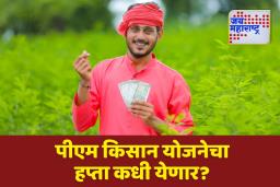 PM Kisan Yojana: पीएम किसान योजनेचा 20वा हप्ता कधी येणार? शेतकऱ्यांमध्ये प्रचंड उत्सुकता