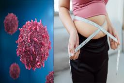 World Cancer Day : लठ्ठपणामुळे कर्करोगाचा धोका 10-15 टक्क्यांनी वाढतो, वेळीच करा हे उपाय