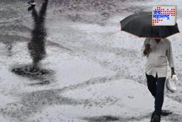Heavy Rainfall in Marathwada : मराठवाडा व विदर्भात मुसळधार पावसाचा इशारा; राज्यभर यलो अलर्ट