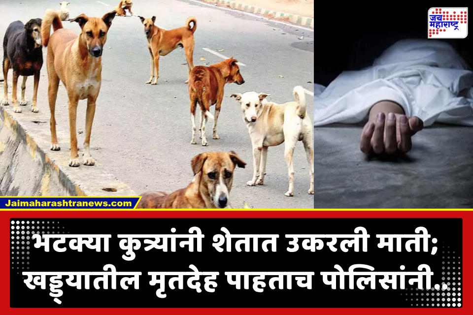 Crime News: पाऊस आणि भटक्या कुत्र्यांमुळे समोर आला भयंकर गुन्हा; बेपत्ता व्यक्तीचा मृतदेह शेतात आढळला
