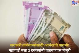 Dearness Allowance Hike: सरकारी कर्मचाऱ्यांसाठी आनंदाची बातमी! महागाई भत्ता 2 टक्क्यांनी वाढवण्यास मान्यता
