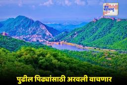 Aravalli Hill Range: गुजरात ते दिल्ली… अरवली पर्वतरांगांचा श्वास मोकळा होणार, पर्यावरण मंत्रालयाचे ऐतिहासिक पाऊल