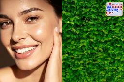 Leaves Juice for Skin: ‘या’ हिरव्या पानांचा रस प्या आणि मिळवा नैसर्गिक ग्लो! पन्नाशी नंतरही चेहऱ्यावर दिसेल तरुणपणाची चमक