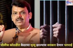 फडणवीस सरकारचा मोठा निर्णय! पोलीस कोठडीत कैद्याचा मृत्यू झाल्यास सरकार देणार भरपाई
