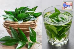 Health Tips: रिकाम्या पोटी प्या कढीपत्त्याचा जादुई रस; ‘हे’ आजार होतील एका क्षणात दूर