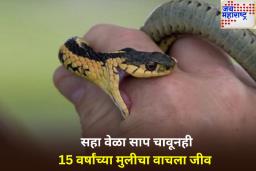 Uttar Pradesh Shocker: एका महिन्यात 6 वेळा सर्पदंश; तरीही 15 वर्षीय मुलगी मृत्यूच्या दारातून परतली