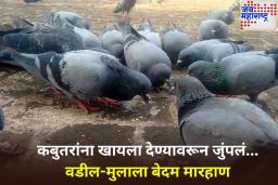 मीरा रोडमध्ये कबुतरांना खायला देण्यास आक्षेप घेतल्याने वडील-मुलाला मारहाण; 4 जणांविरुद्ध गुन्हा दाखल